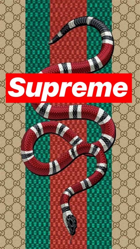 supreme gucci wallpaper|gucci and supreme background.